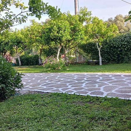 Villa Ioannidis بارغا المظهر الخارجي الصورة