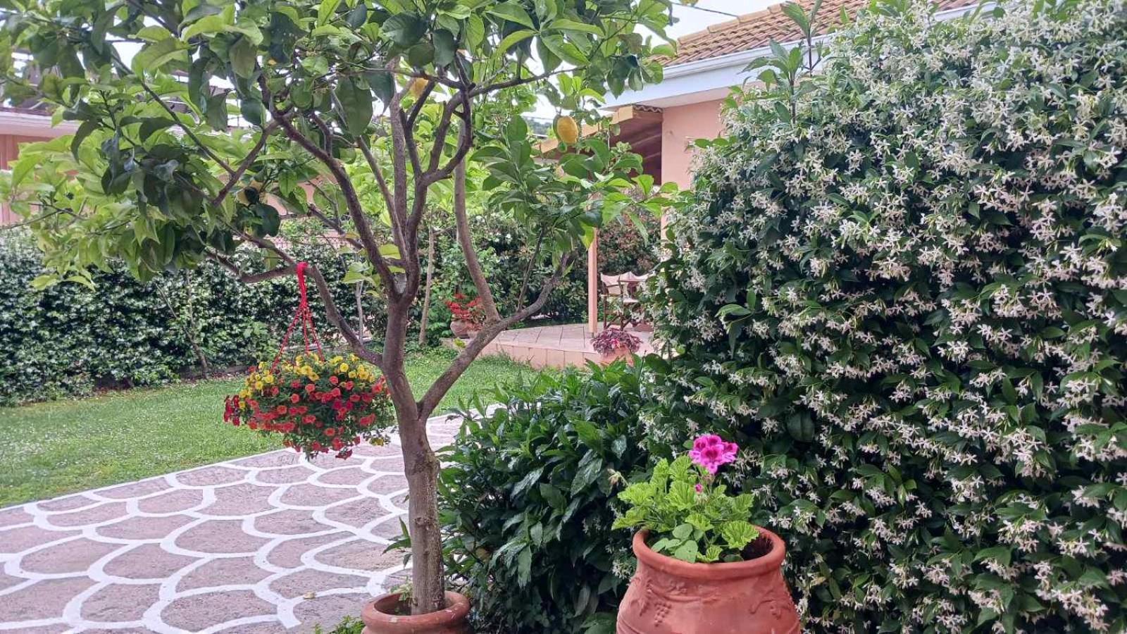 Villa Ioannidis بارغا المظهر الخارجي الصورة